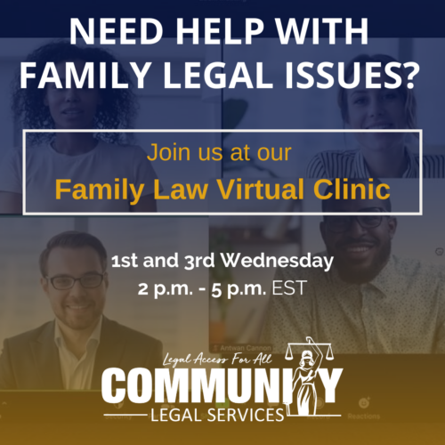 Virtual Family Law